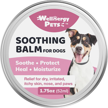 Dog lotion petco online
